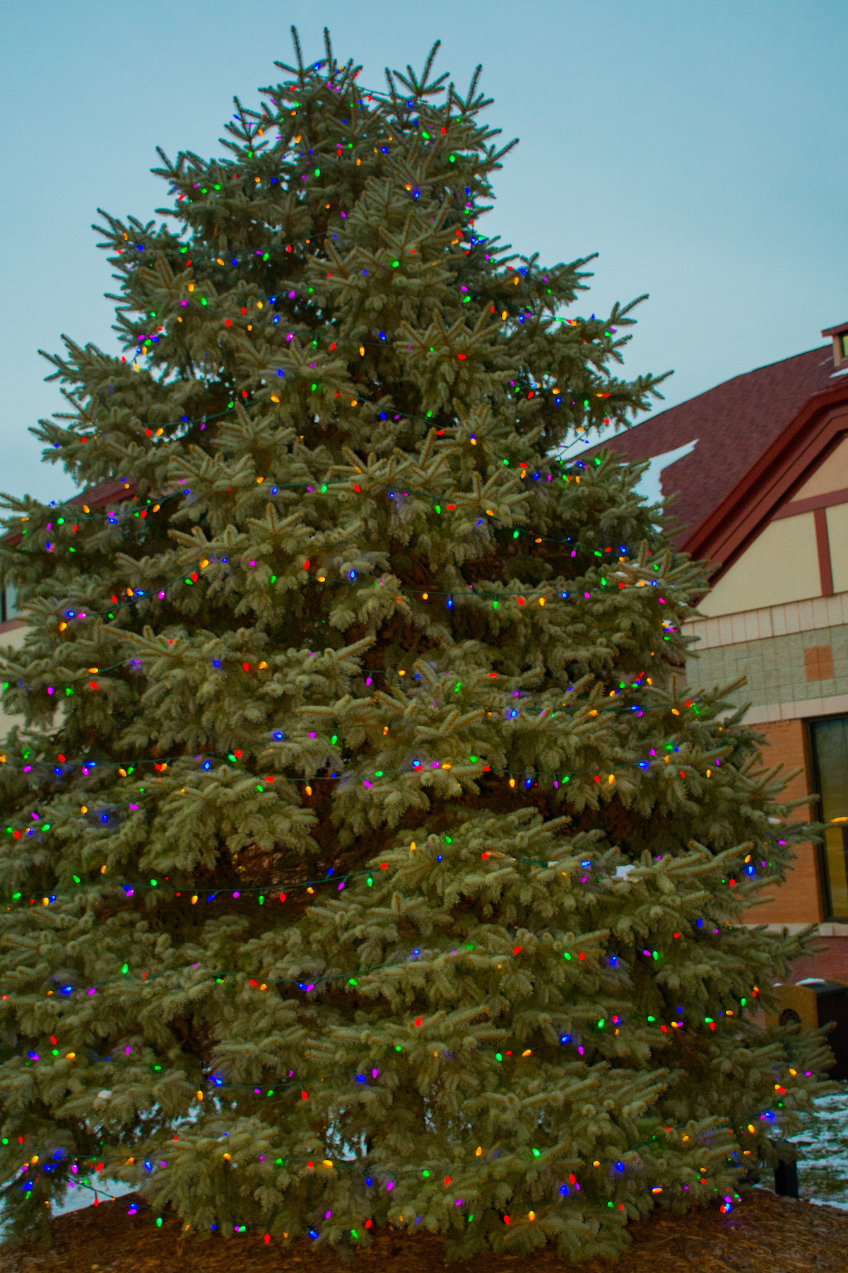 Germantown Christmas Tree Lighting Ceremony Visit Germantown